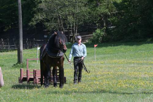 DSC_4673